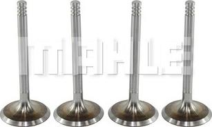 MAHLE VA0700088 - Inlet Valve car-mod.net