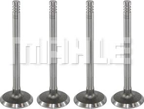 MAHLE VA0700020 - Inlet Valve car-mod.net