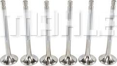 MAHLE VE0760012 - Outlet valve car-mod.net