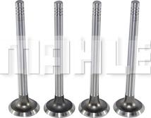 MAHLE VE0700049 - Outlet valve car-mod.net