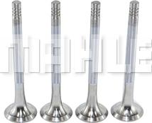 MAHLE VE0700021 - Outlet valve car-mod.net