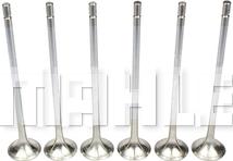 MAHLE VE0710201 - Outlet valve car-mod.net