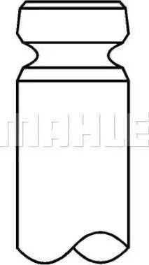 MAHLE 676 VE 31286 000 - Inlet Valve car-mod.net
