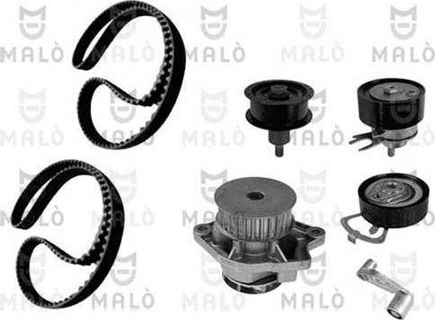 AKRON-MALÒ 1555024 - Water Pump & Timing Belt Set car-mod.net