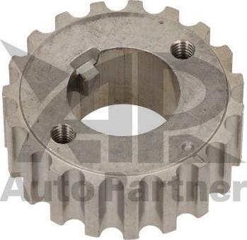 Maxgear 54-1116 - Gear, camshaft car-mod.net