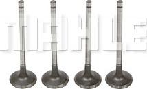 METAL LEVE VA0441701 - Inlet Valve car-mod.net