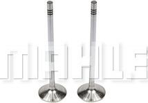 METAL LEVE VA0461693 - Inlet Valve car-mod.net