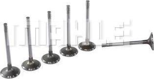 METAL LEVE VA0130101 - Inlet Valve car-mod.net