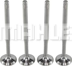 METAL LEVE VA0700009 - Inlet Valve car-mod.net
