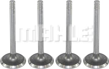 METAL LEVE VA0700017 - Inlet Valve car-mod.net