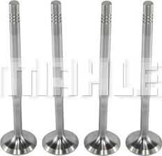 METAL LEVE VA0700074 - Inlet Valve car-mod.net