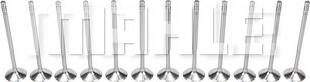METAL LEVE VA0700242 - Inlet Valve car-mod.net