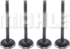 METAL LEVE VA1950223 - Inlet Valve car-mod.net