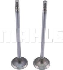 METAL LEVE VE0461694 - Outlet valve car-mod.net