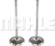 METAL LEVE VE0130100 - Outlet valve car-mod.net
