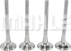 METAL LEVE VE0700016 - Outlet valve car-mod.net