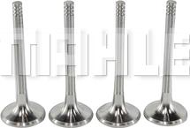 METAL LEVE VE0700087 - Outlet valve car-mod.net