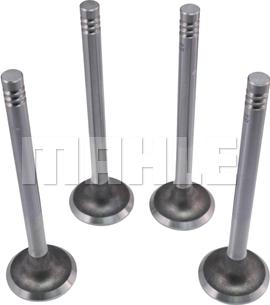 METAL LEVE VE0700022 - Outlet valve car-mod.net