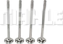 METAL LEVE VE0700073 - Outlet valve car-mod.net