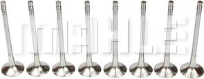 METAL LEVE VE0700243 - Outlet valve car-mod.net