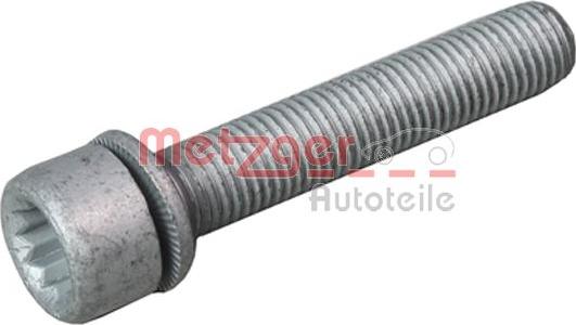 Metzger 6250007S - Bolt, brake caliper car-mod.net
