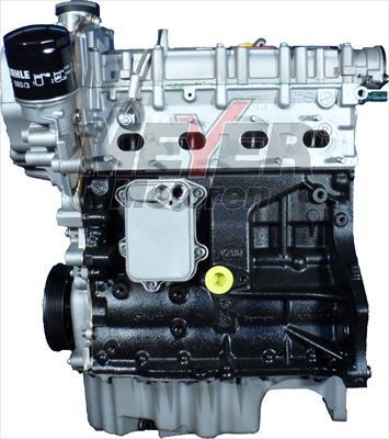 Meyer 010002090 - Complete Engine car-mod.net