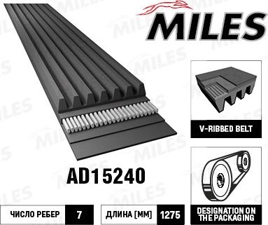 Miles AD15240 - V-Ribbed Belt car-mod.net