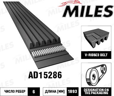 Miles AD15286 - V-Ribbed Belt car-mod.net