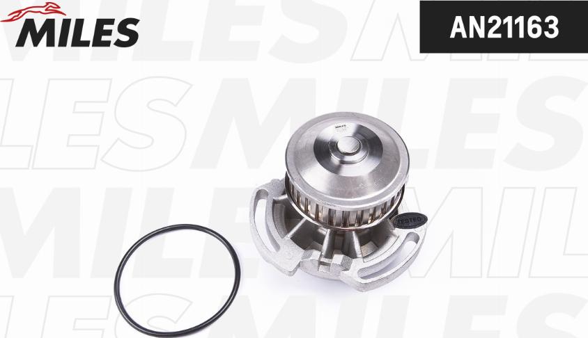 Miles AN21163 - Water Pump car-mod.net