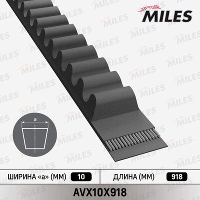 Miles AVX10X918 - Drive belt, V-Belt car-mod.net