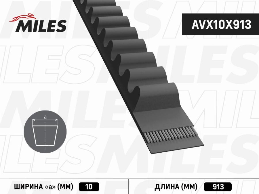 Miles AVX10X913 - Drive belt, V-Belt car-mod.net