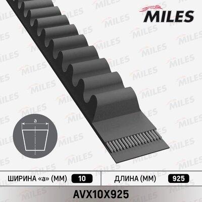 Miles AVX10X925 - Drive belt, V-Belt car-mod.net