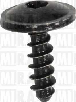 MI.R.A. 80/0016 - Screw car-mod.net