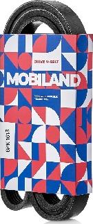 MOBILAND 6PK1613 - V-Ribbed Belt car-mod.net