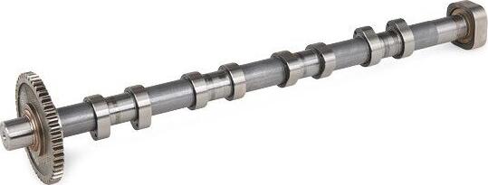 MOBILVERDE 51304167 - Camshaft car-mod.net
