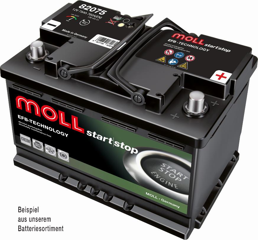 MOLL 82065 - Starter Battery car-mod.net