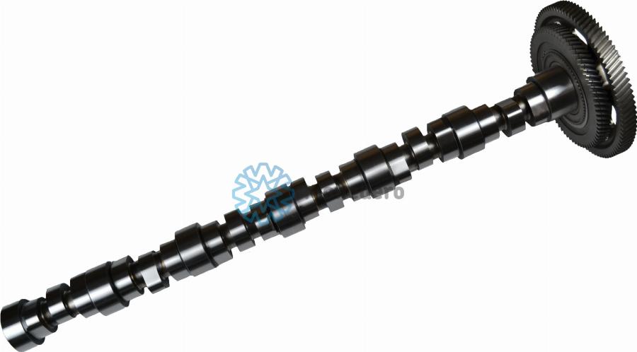 MONEDERO 10013000027 - Camshaft car-mod.net