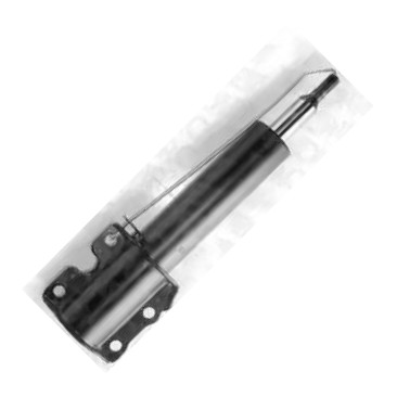 Delphi D22510080 - Shock Absorber car-mod.net