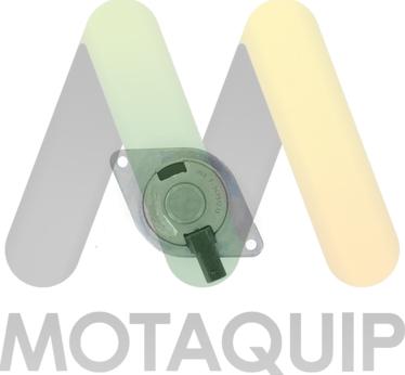 Motaquip LVEP174 - Control Valve, camshaft adjustment car-mod.net
