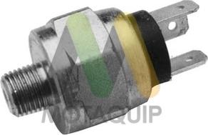 Motaquip LVRB294 - Brake Light Switch / Clutch car-mod.net