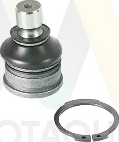 Motaquip LVSJ1161 - Ball Joint car-mod.net