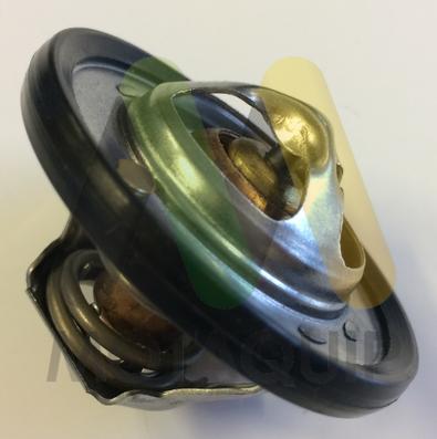 Motaquip LVTK195 - Coolant thermostat / housing car-mod.net