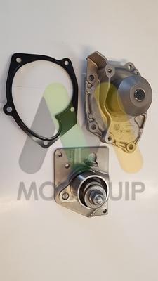Motaquip LVTTP117 - Water Pump & Timing Belt Set car-mod.net
