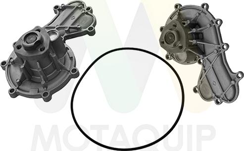 Motaquip LVWP1098 - Water Pump car-mod.net