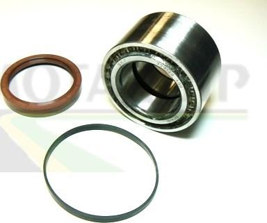 Motaquip VBK822 - Bearing Kit, wheel hub car-mod.net