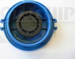 Motaquip VCR248 - Sealing Cap, coolant tank car-mod.net