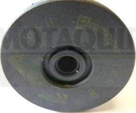 Motaquip VFF542 - Fuel filter car-mod.net