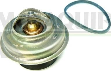 Motaquip VTK21 - Coolant thermostat / housing car-mod.net