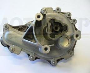 Motaquip VWP919 - Water Pump car-mod.net
