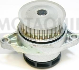 Motaquip VWP746 - Water Pump car-mod.net